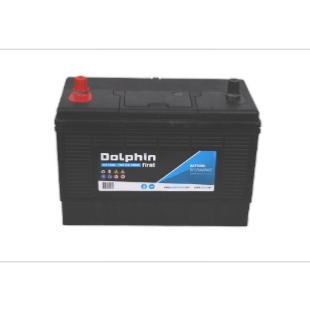 Batterie Dolphin First 95A